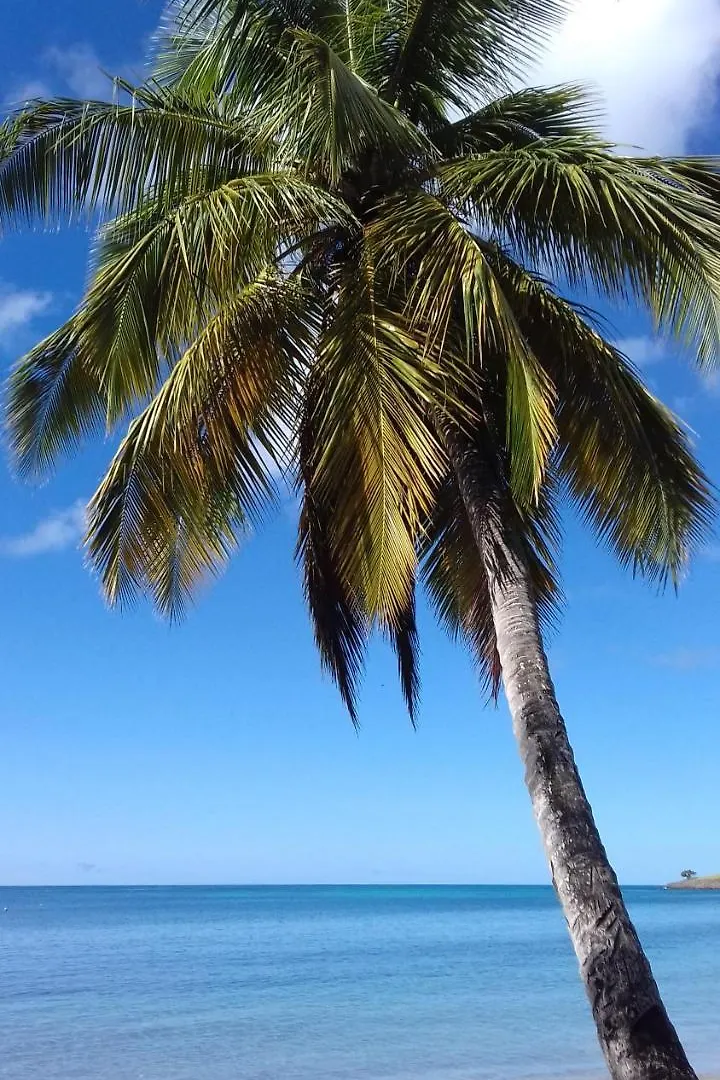 Homestay Palm View Apartment Laborie Saint Lucia