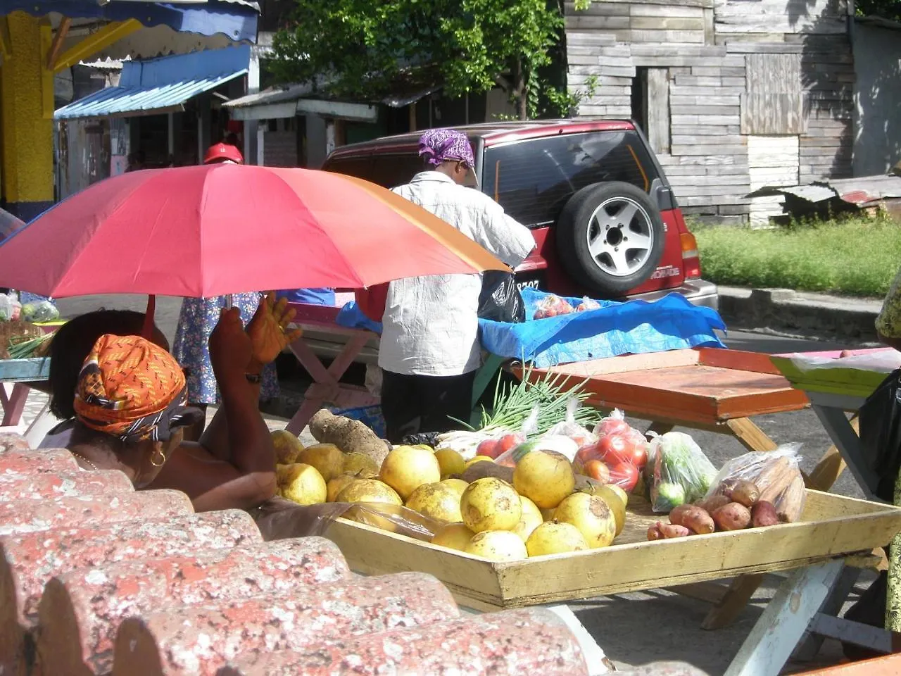 Homestay Palm View Apartment Laborie