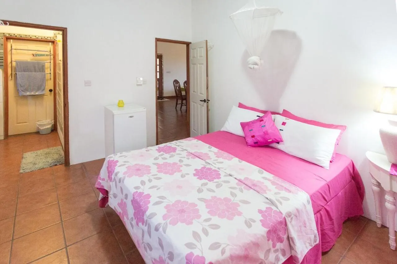 Palm View Apartment Laborie