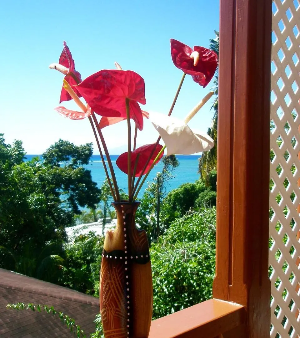 Palm View Apartment Laborie Saint Lucia