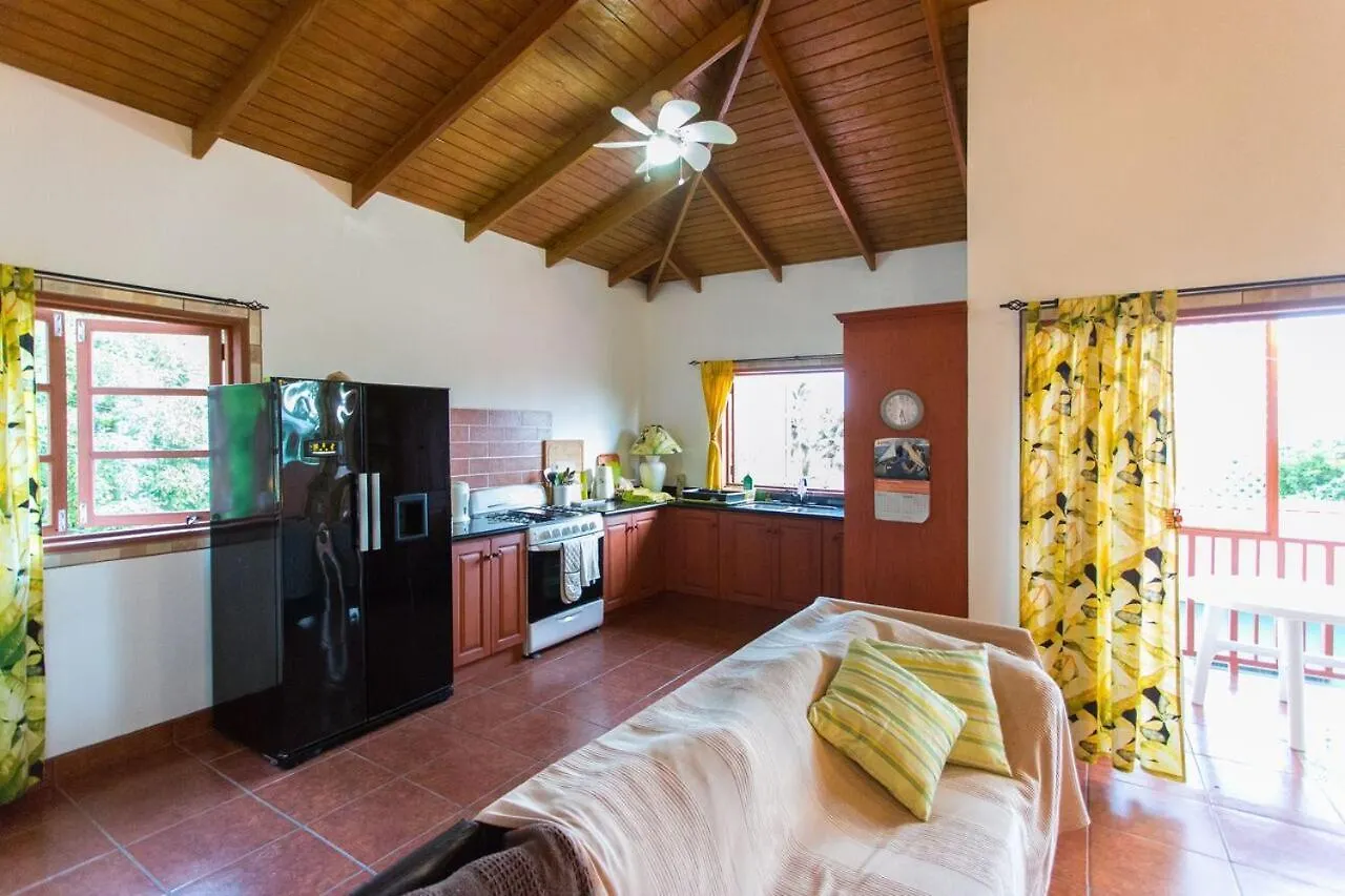 Palm View Apartment Laborie 0*,