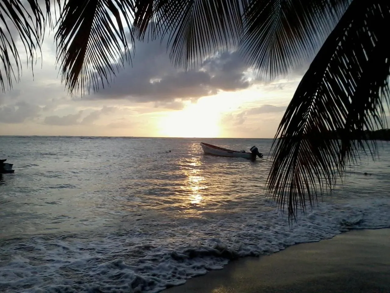 Palm View Apartment Laborie Homestay