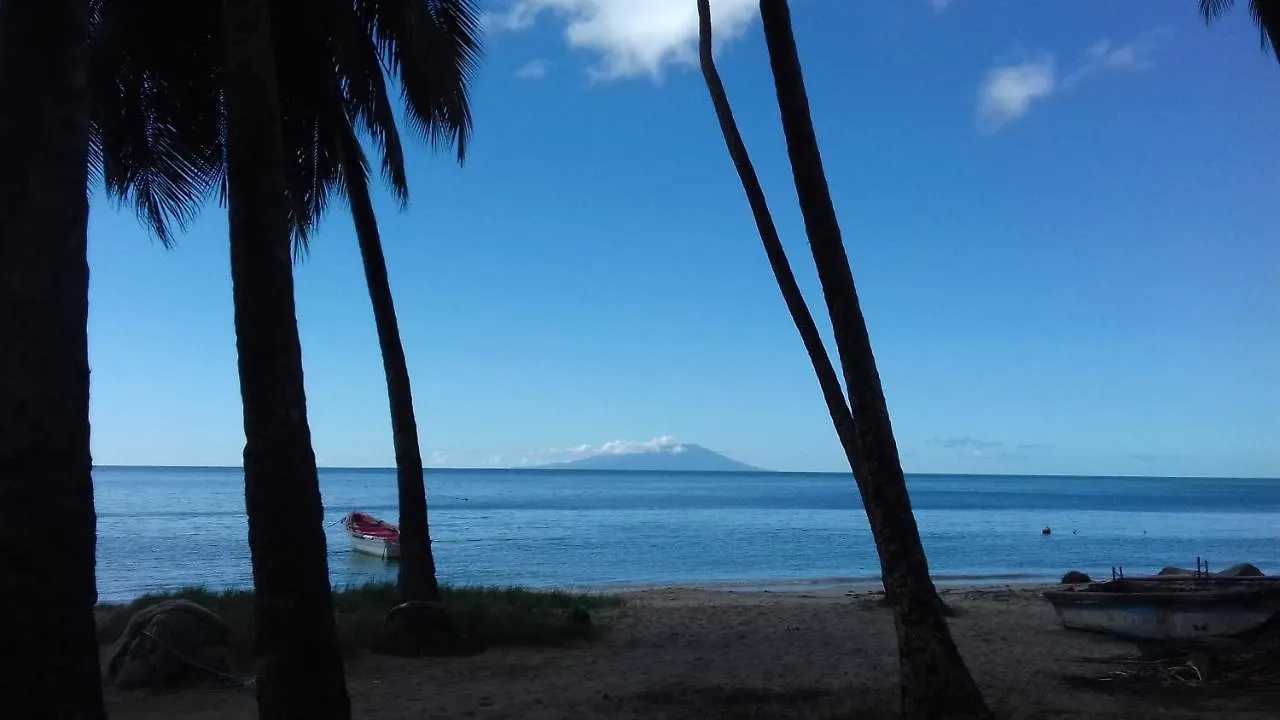 Palm View Apartment Laborie